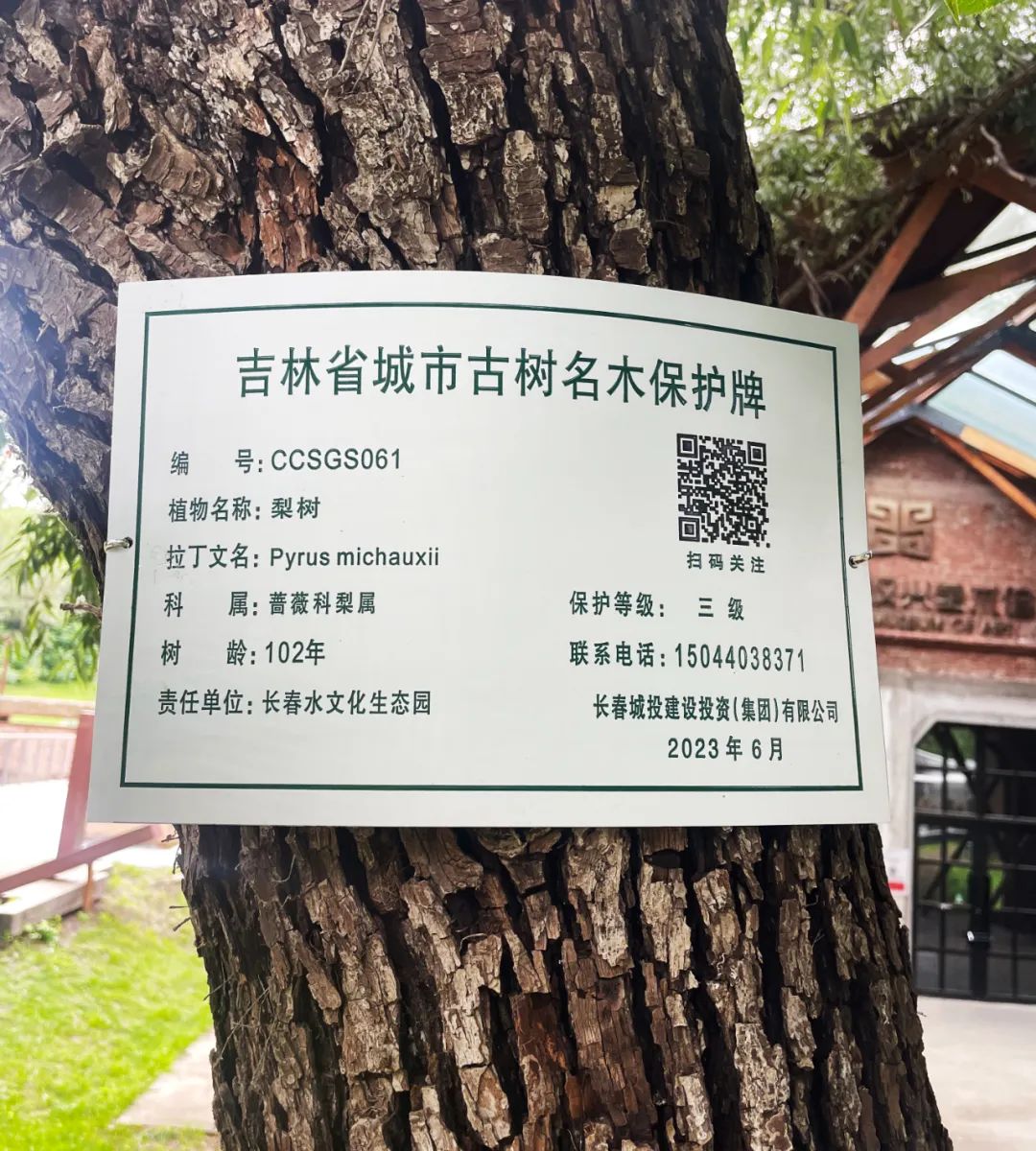 5001拉斯维加斯(中国游)有限公司-BinG百科