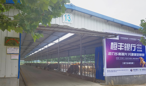 �ڴ����ݹ���-�ڴ�����APP����