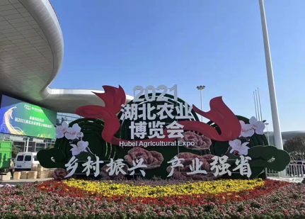 �ڴ����ݹ���-�ڴ�����APP����